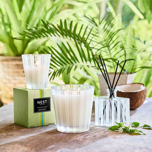 Difusor - Coconut & Palm