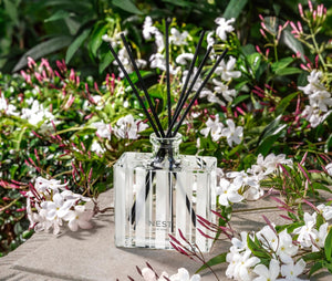Difusor - Indian Jasmine