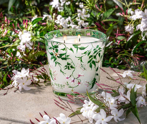 Velon de Tres Mechas - Indian Jasmine