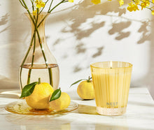Cargar imagen en el visor de la galería, Velón Clásico - Sunlit Yuzu &amp; Neroli