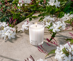 Vela Votiva - Indian Jasmine