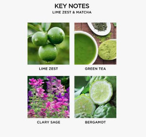 Aceite para Difusor de Aromaterapia - Lime Zest & Matcha