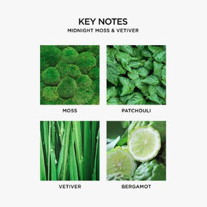 Difusor - Midnight Moss & Vetiver