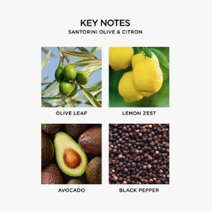 Velón Clásico - Santorini Olive & Citron